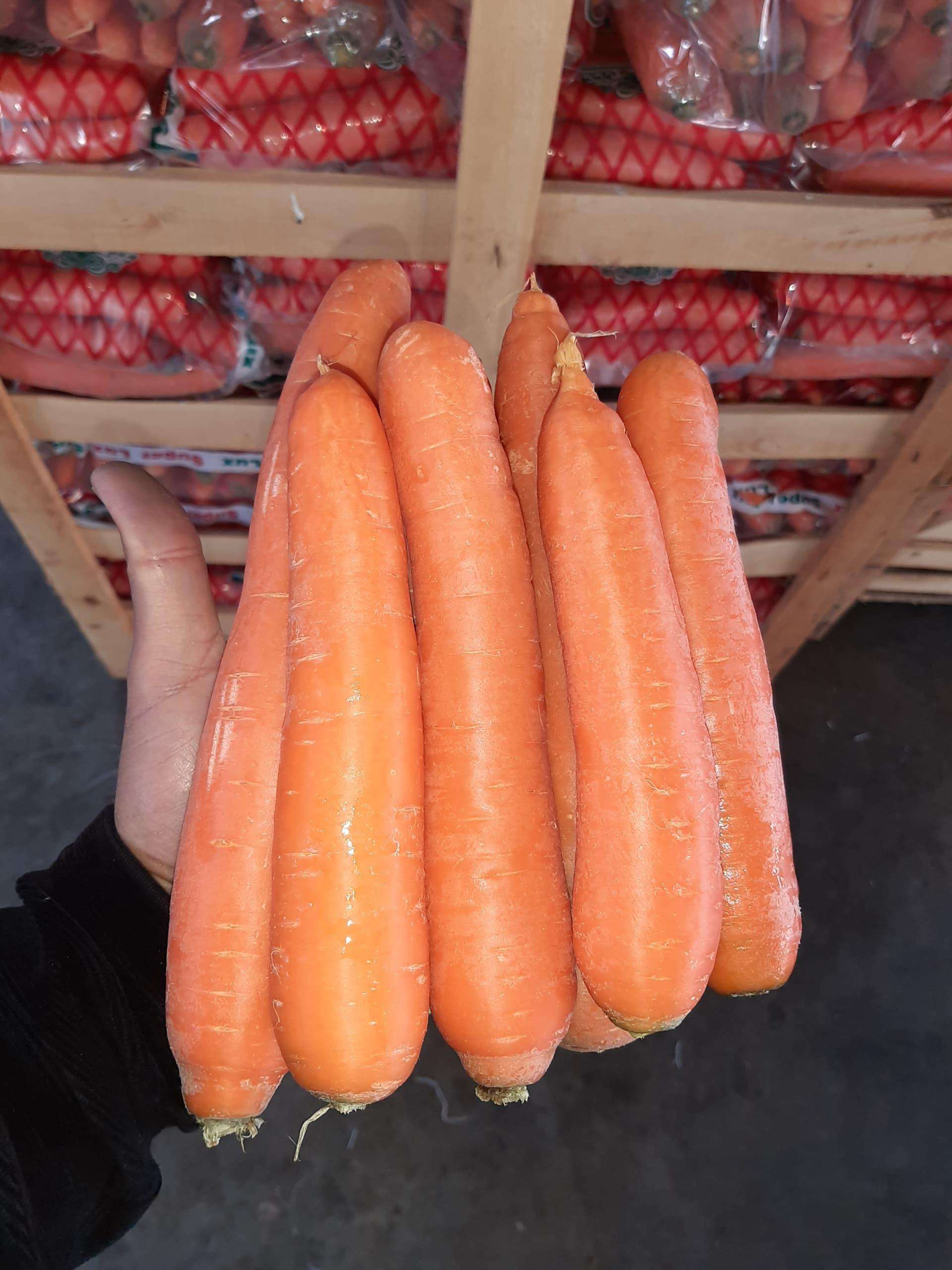 تجربه و تخصص