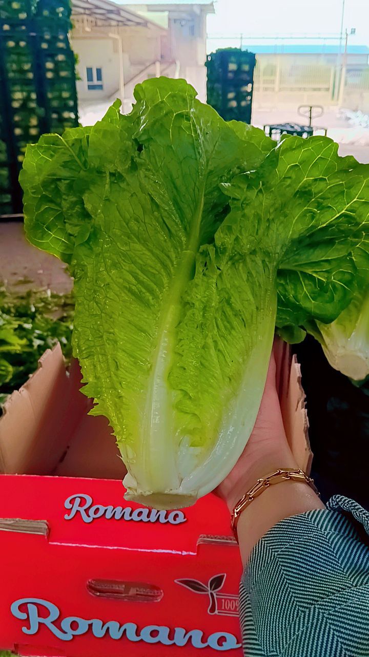 کیفیت بی‌نظیر محصولات