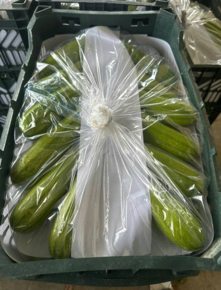 قیمت مناسب و رقابتی