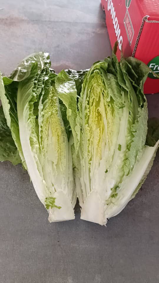 بسته‌بندی استاندارد