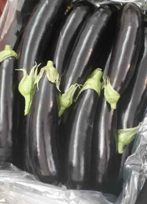 مزایای صادرات صیفی‌جات تازه از دزفول